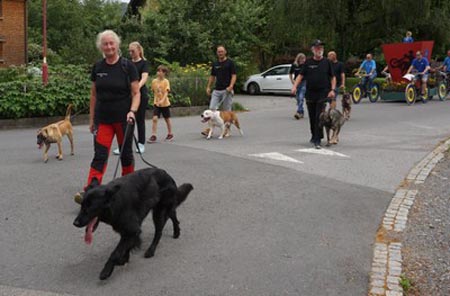 26_Hundesportverein Sulz